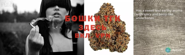 тгк Гусиноозёрск