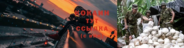 спиды Гусев