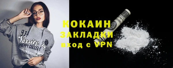 спиды Гусев