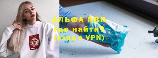 спиды Гусев