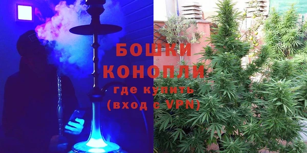 спиды Гусев